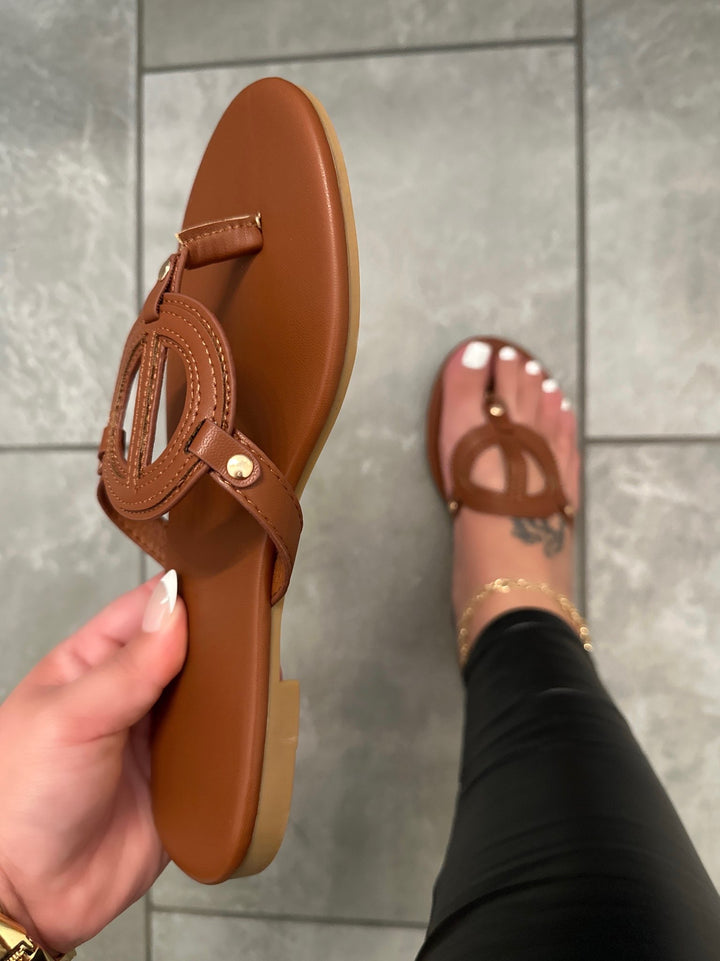 Brown Cutout Medallion Thong Sandal - Terry